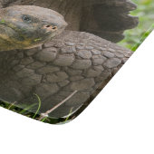 Reuzenschildpad Snijplank (Hoek)