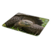 Reuzenschildpad Snijplank (Hoek)