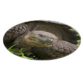 Reuzenschildpad Snijplank (Hoek)
