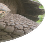 Reuzenschildpad Snijplank (Hoek)