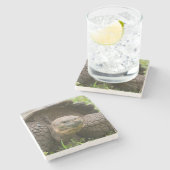 Reuzenschildpad Stenen Onderzetter (Zijkant)