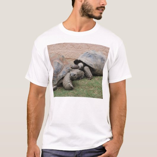 reuzenschildpad t-shirt (Voorkant)