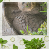 Reuzenschildpad Theedoek (Gevouwen)