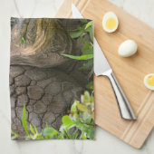 Reuzenschildpad Theedoek (Quarter Fold)