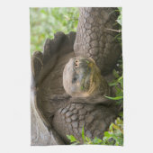 Reuzenschildpad Theedoek (Verticaal)
