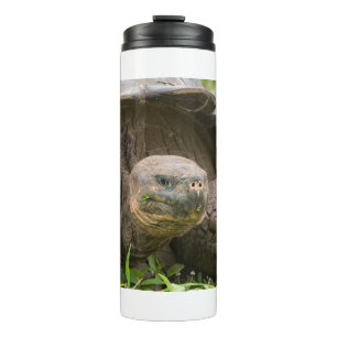 Reuzenschildpad Thermosbeker