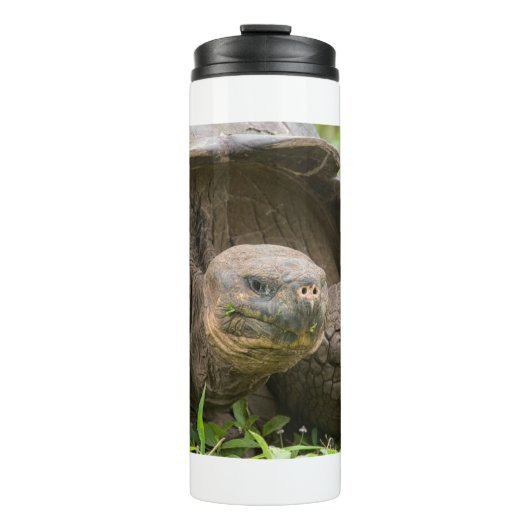 Reuzenschildpad Thermosbeker (Voorkant)