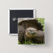 Reuzenschildpad Vierkante Button 5,1 Cm (Voorkant /achterkant)