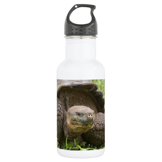 Reuzenschildpad Waterfles (Voorkant)