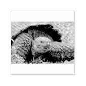 Reuzenschildpad Zelfinktende Stempel (Design)