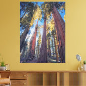 Reuzensequoia bomen bos landschap canvas afdruk (Insitu (Woonkamer))