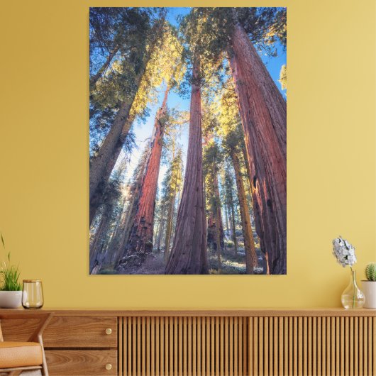Reuzensequoia bomen bos landschap canvas afdruk (Insitu (Woonkamer))