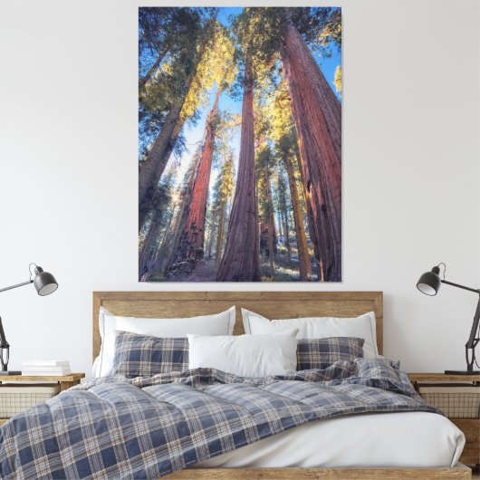 Reuzensequoia bomen bos landschap canvas afdruk (Insitu (Slaapkamer))