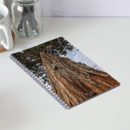 Reuzensequoia Boom Foto Notitieboek