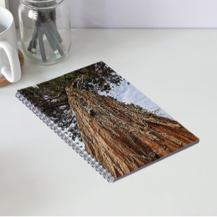 Reuzensequoia Boom Foto Notitieboek