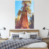 Reuzensequoia Canvas Afdruk (Insitu (Slaapkamer))