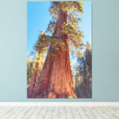 Reuzensequoia Canvas Afdruk (Insitu (Houten vloer))