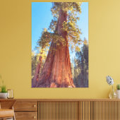 Reuzensequoia Canvas Afdruk (Insitu (Woonkamer))