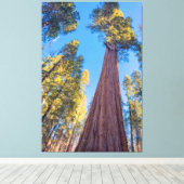 Reuzensequoia Canvas Afdruk (Insitu (Houten vloer))