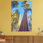 Reuzensequoia Canvas Afdruk (Insitu (Woonkamer))