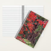 Reuzensequoia en rode esdoornbladeren notitieboek (Binnen)