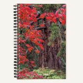 Reuzensequoia en rode esdoornbladeren notitieboek (Voorkant)