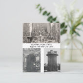 Reuzensequoia, grootste boom ooit gekapt briefkaart (Staand voorkant)