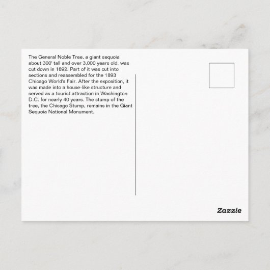 Reuzensequoia, grootste boom ooit gekapt briefkaart (Achterkant)