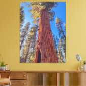 Reuzensequoia in bos canvas afdruk (Insitu (Woonkamer))