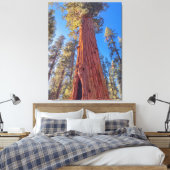 Reuzensequoia in bos canvas afdruk (Insitu (Slaapkamer))