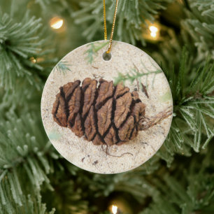 Reuzensequoia Kegel, Reuzenrodeboom Ornament