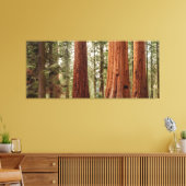 Reuzensequoia panorama canvas afdruk (Insitu (Woonkamer))