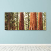 Reuzensequoia panorama canvas afdruk (Insitu (Houten vloer))