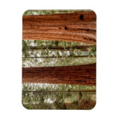 Reuzensequoia panorama magneet (Verticaal)