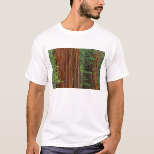 Reuzensequoia-stammen in bos, Yosemite T-shirt