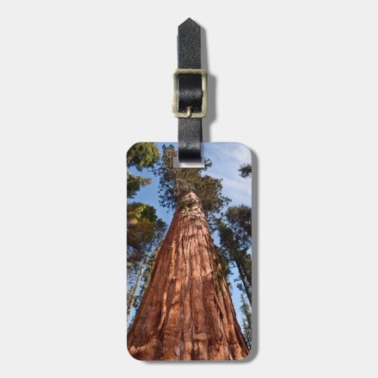 Reuzensequoia Stijgt Op Bagagelabel (Voorkant verticaal)