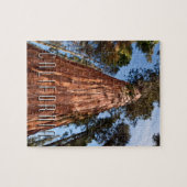 Reuzensequoia stijgt op legpuzzel (Horizontaal)