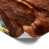 Reuzensequoia Stijgt Op Poster (Hoek)