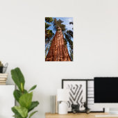 Reuzensequoia Stijgt Op Poster (Thuiskantoor)