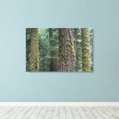Reuzensequoia's in het bos, Sequoia en Canvas Afdruk (Insitu (Houten vloer))