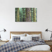 Reuzensequoia's in het bos, Sequoia en Canvas Afdruk (Insitu (Slaapkamer))