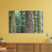 Reuzensequoia's in het bos, Sequoia en Canvas Afdruk (Insitu (Woonkamer))