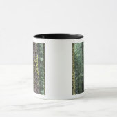 Reuzensequoia's in het bos, Sequoia en Mok (Midden)