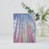 reuzensequoiawoud briefkaart (Staand voorkant)