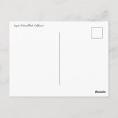 reuzensequoiawoud briefkaart (Achterkant)