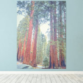 reuzensequoiawoud canvas afdruk (Insitu (Houten vloer))