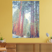 reuzensequoiawoud canvas afdruk (Insitu (Woonkamer))