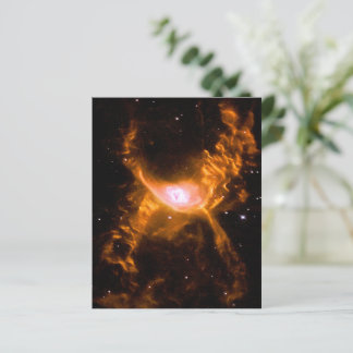 Reuzenspinnevel | Spider Lovers Gift