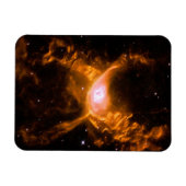 Reuzenspinnevel | Spider Lovers Gift Magneet (Horizontaal)