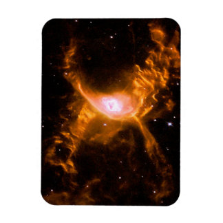 Reuzenspinnevel | Spider Lovers Gift Magneet